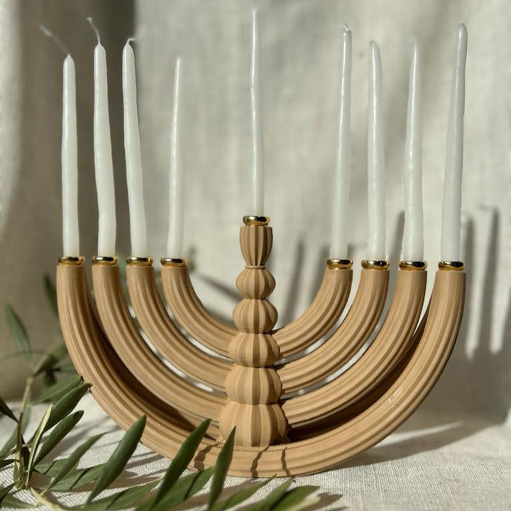 חנוכיית אביגיל