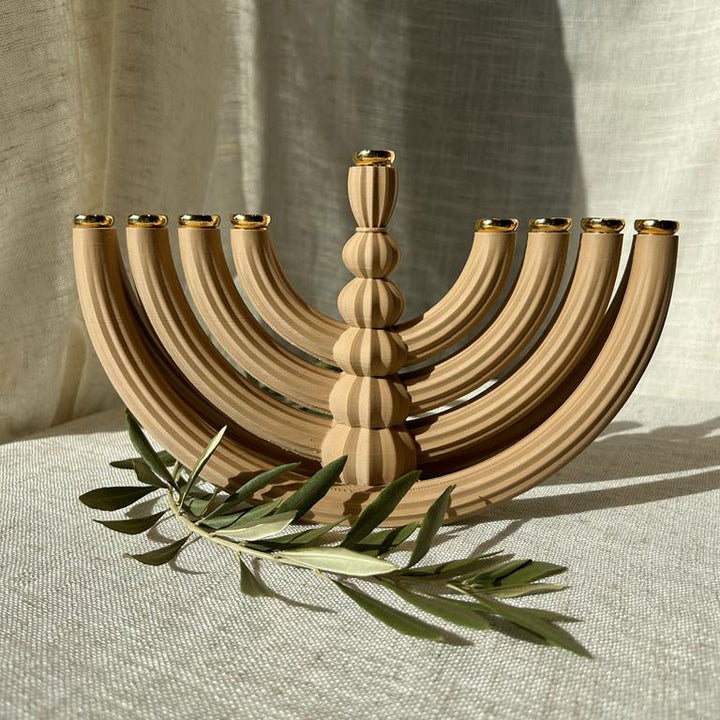 חנוכיית אביגיל